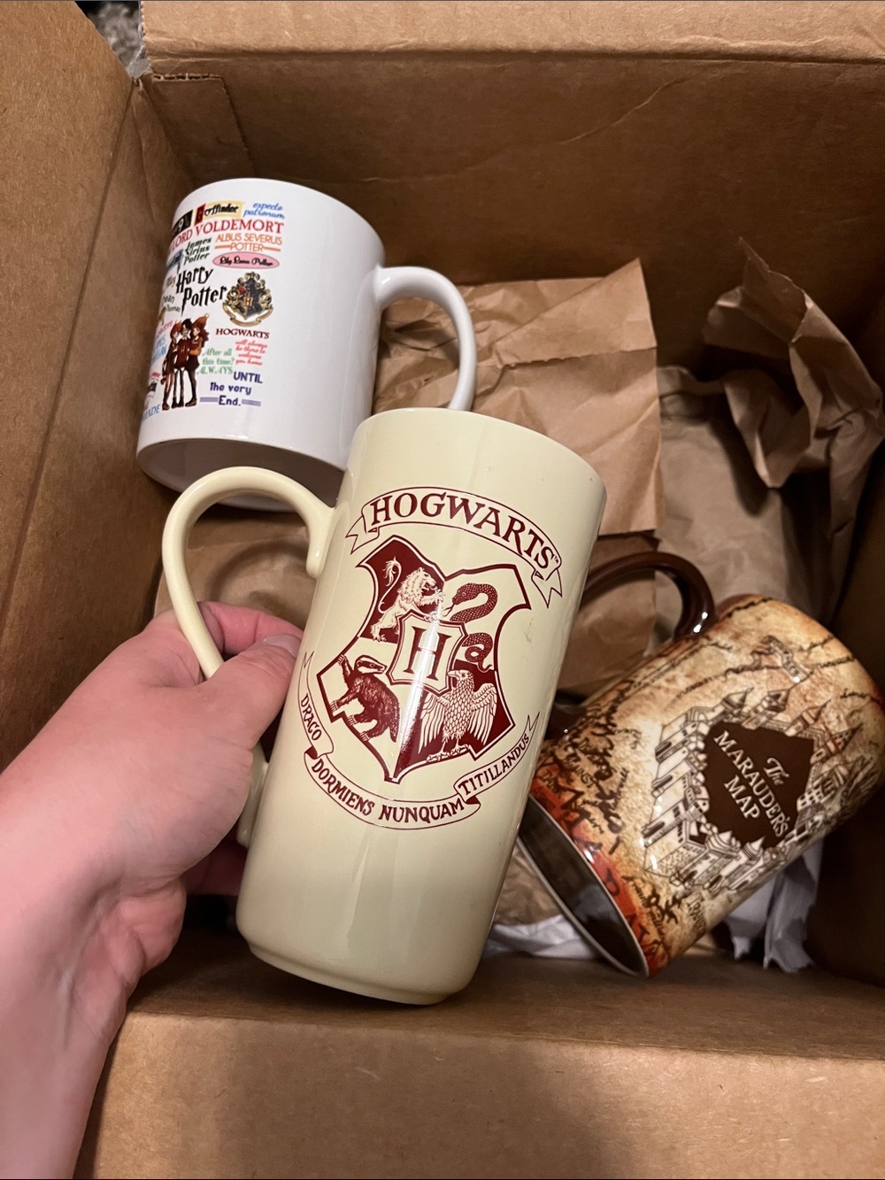 Harry Potter Travel Tumbler and Mug Set